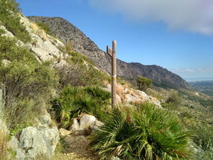 Near the entrance to the cave