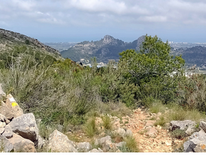 View on our return crossing to Pedreguer