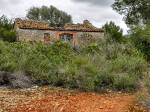 Ruin