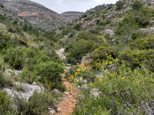 Mozarabic path