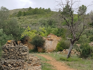 Ruined finca with Era