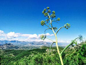 Jalon and Orba valleys