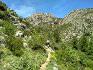 Walking up Barranco Negre
