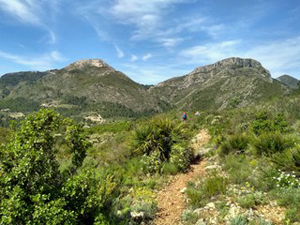 Ferrer ridge(L) and Talai (R)