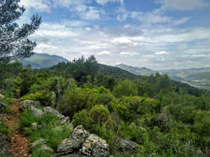 Path and distant mountains