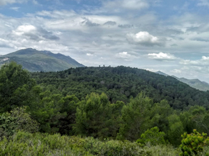 Summit of La Safor