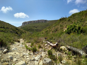 Crags on far side of barranco descent