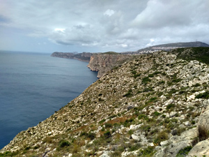 Looking S along the coast from the ridge