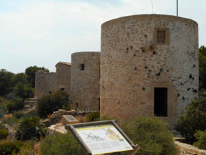 Molins