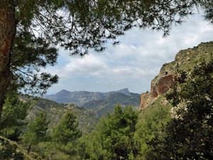 View near to the Coll de la Xau