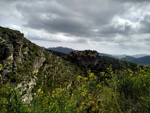 Looking across to the castle