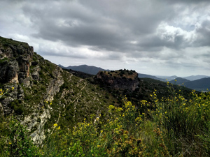 Looking across to the castle