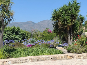 Lloma Larga across Mediterranean garden