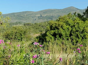 View to El Cau