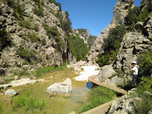 Typical scenery