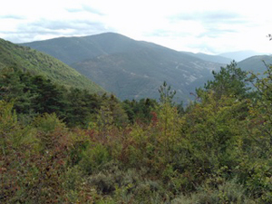 View from the col