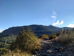 Camino de Santiago