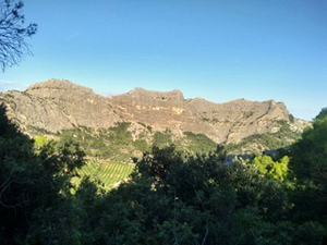 Looking back during our ascent