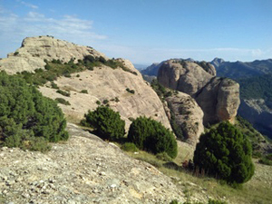 Rocky saddle above the gully