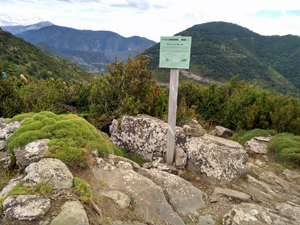 Explanation board