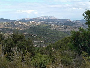 Distant Montgo