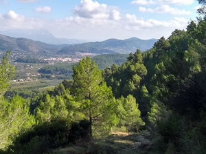 Disant misty Montgo and nearer Jalon valley
