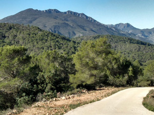 Craggy Azafor