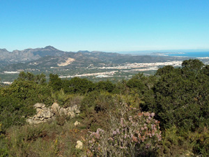 Looking N towards Montduver