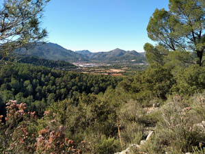 Villalonga valley