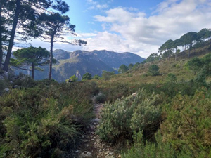 From the col towards Tossal de Tramus and Cingle Verd