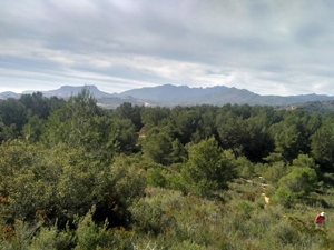 Distant Bernia ridge