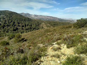 Distant Castell d'Aixa ridge