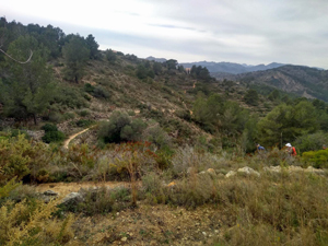 Descent path