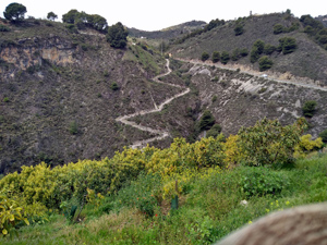 Zig-zag path used late in the day
