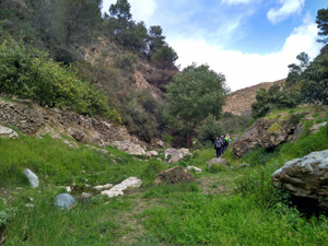 Starting up the river