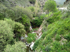 The stream that we follow