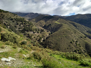 View inland towards the mountains