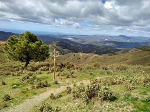Our footpath from the track