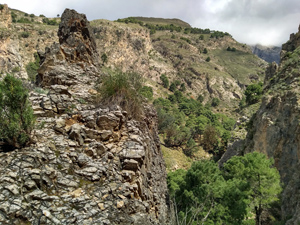 Looking into the barranco