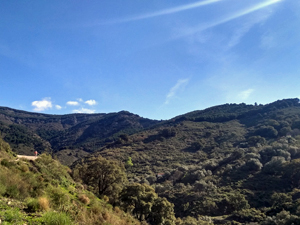 Part of our early ascent