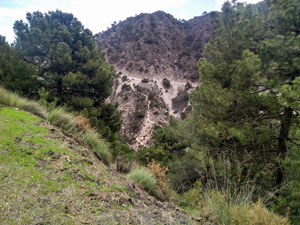 Our descent footpath