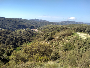 Village of Sedella