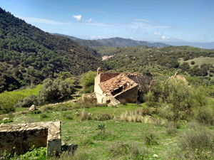 Ruin below the Castle