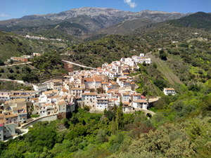 Salares and the Arab Bridge