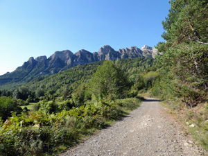 Broad track at start of walk
