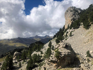 Looking E from near the col