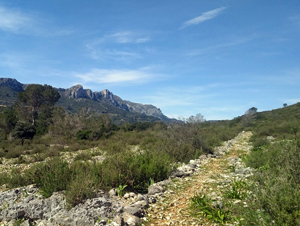 Valley path