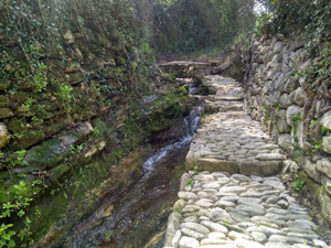 Repaired path