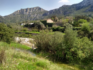Forada ridge