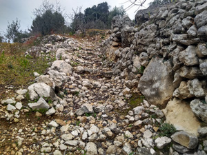 Old restored path